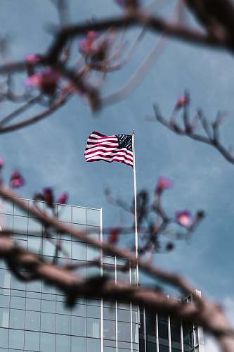 american flag flag of United States of America symbol